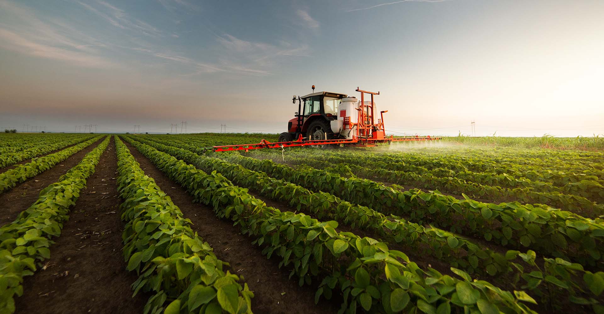 Farm2GrowUp team with farmers in field