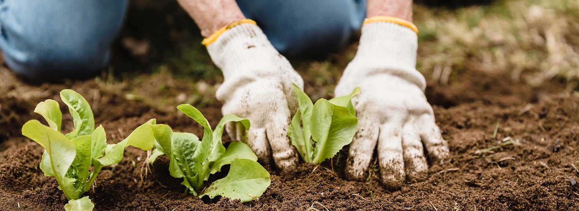 Farm2GrowUp solution for farmers