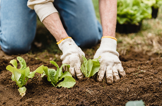 Farmer training session