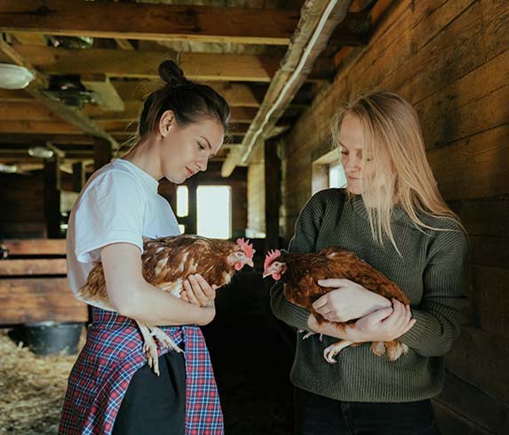 Chemical-free produce