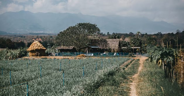 Farm tour